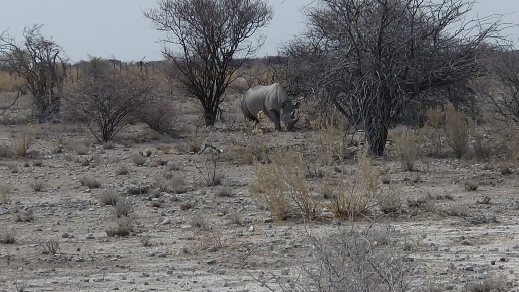 Dieses Bild hat ein leeres alt-Attribut; sein Dateiname ist 10000590397149488338966837394.jpg