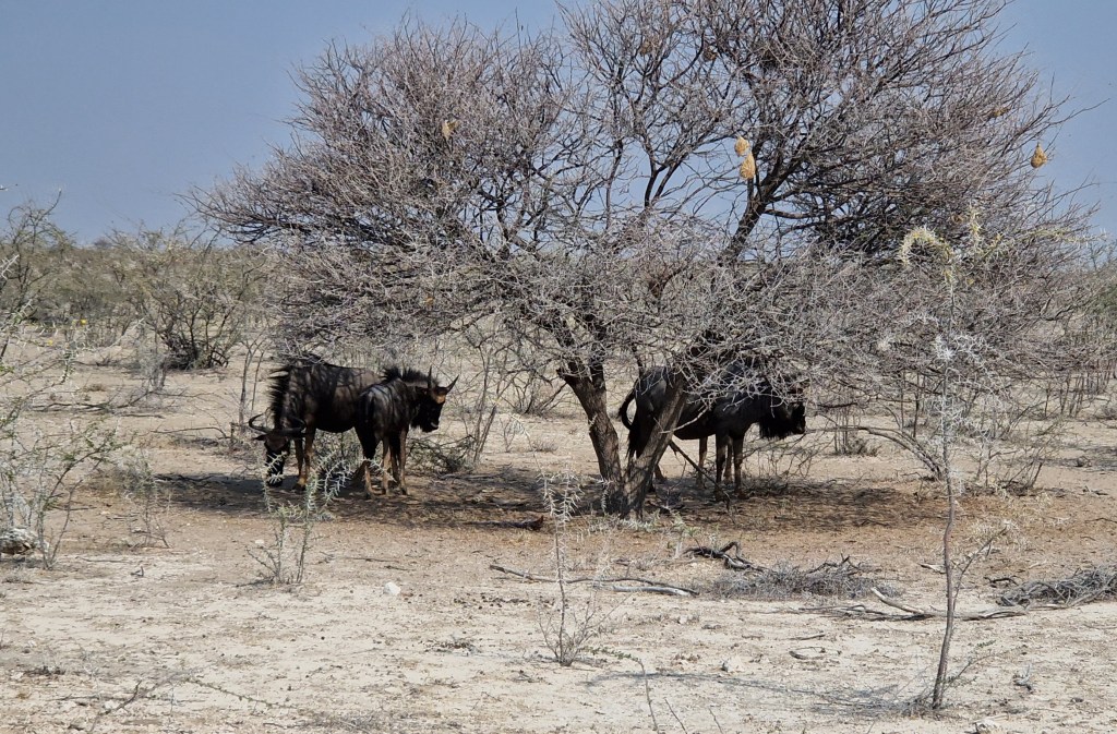 Dieses Bild hat ein leeres alt-Attribut; sein Dateiname ist 10000590516091220940467968163.jpg