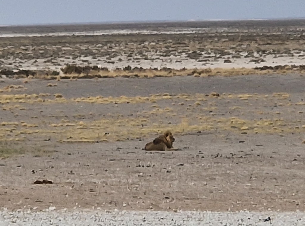 Dieses Bild hat ein leeres alt-Attribut; sein Dateiname ist 10000592216098438556117916350.jpg