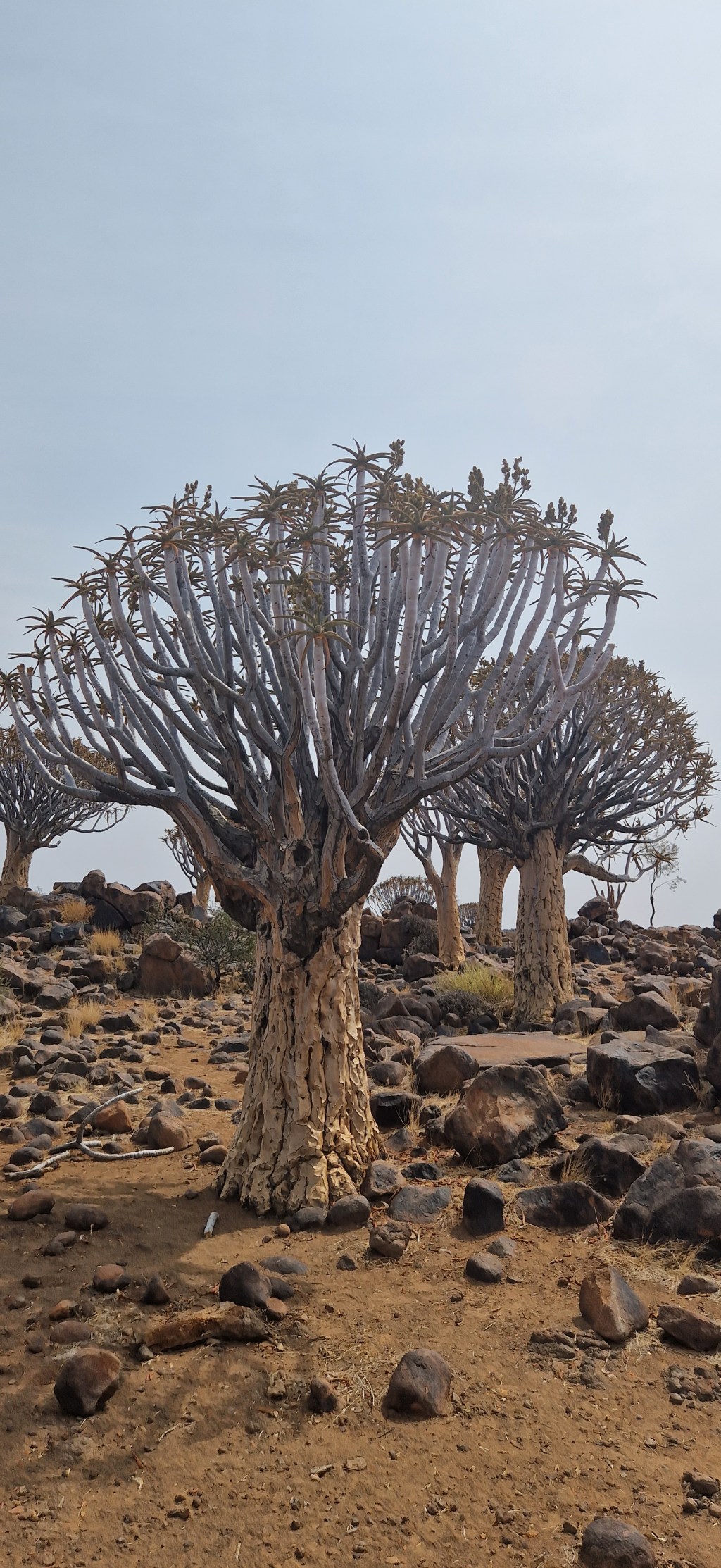 Roadtrip zum Fish River&nbsp;Canyon