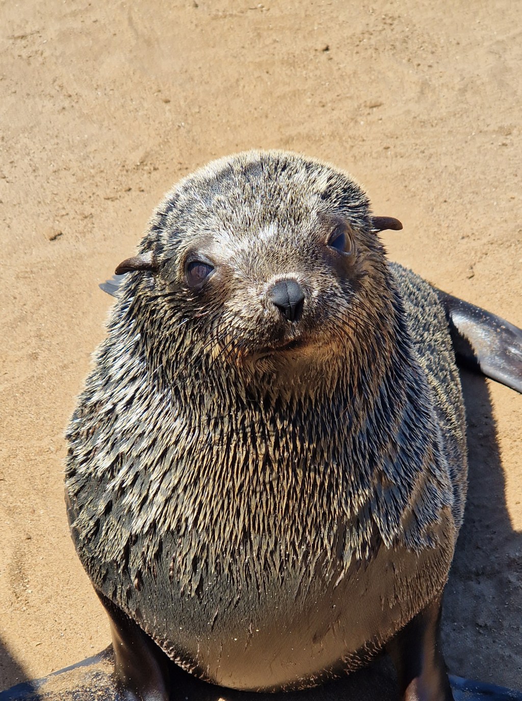 Swakopmund & Robbenkolonie am Cape&nbsp;Cross