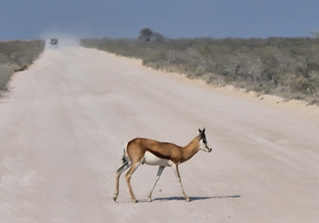 Dieses Bild hat ein leeres alt-Attribut; sein Dateiname ist 10000590602084479812382032725.jpg