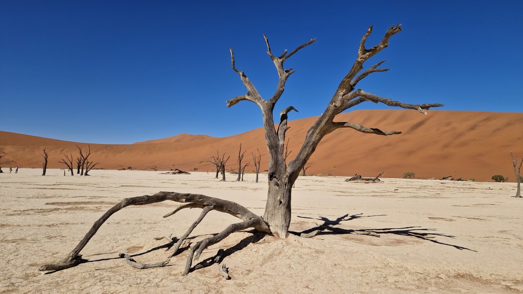 Sossusvlei und Deadvlei
